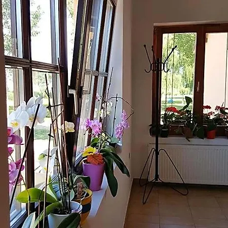 לינה וארוחת בוקר Balaton Panzio