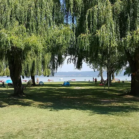 住宿加早餐酒店 Balaton Panzio 3*