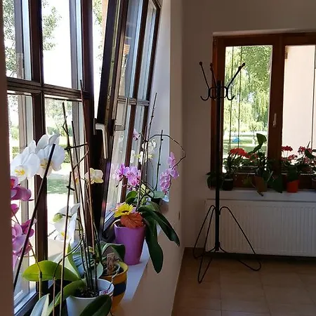 Balaton Panzio *