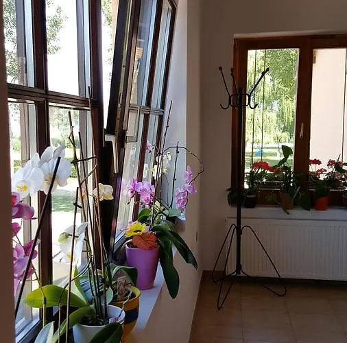 Balaton Panzio 3*